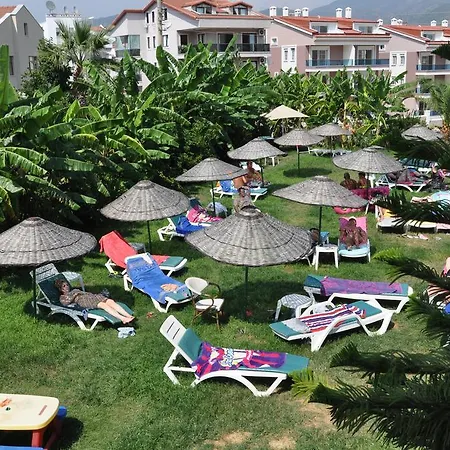 صيار أبارت مرمريس