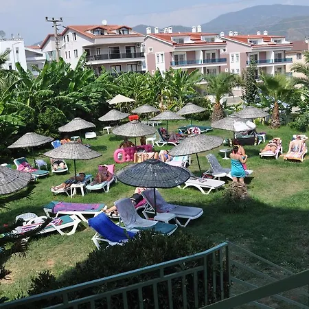 صيار أبارت 3*